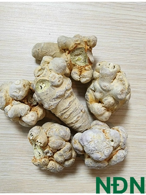 TAM THẤT